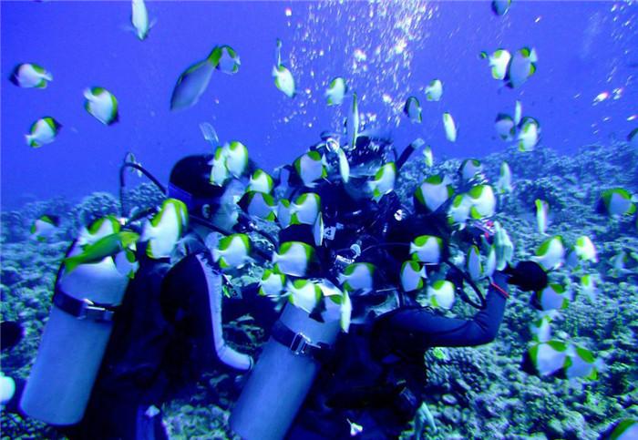 海底的秘密